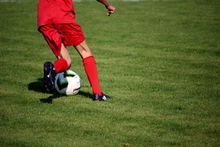 爱游戏体育在线app-中国足球职业俱乐部推动管理层岗位轮训制度，职业足球俱乐部训练计划